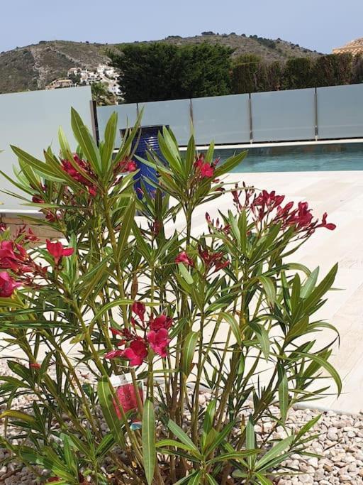 Casa Osimos Portet 450 M Moraira Eksteriør billede